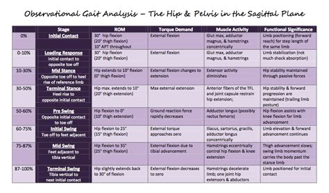 Review of the stages of Gait at the Hip, Knee, and Ankle: