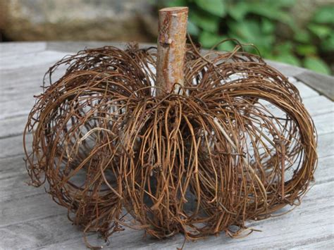 Craft a Natural Pumpkin from Grapevine Wreaths | HGTV