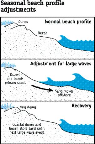 Coastal Erosion - Mr Palmer's Geography & History