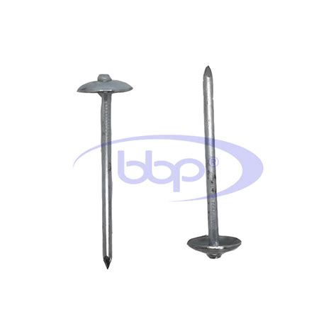 Paku Payung 2 1/2 Inch – BBP Indonesia