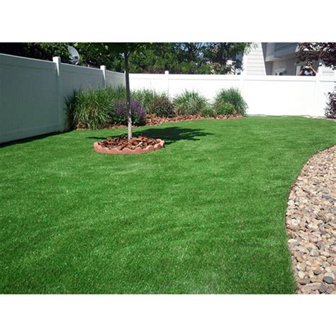 Natural Green Full Sun Exposure Carpet Lawn Grass, For Beautification ...