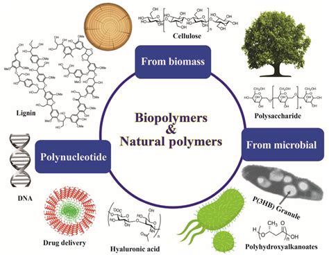 Polymers | Free Full-Text | Recent Advances in Biodegradable Polymers and Their Biological ...