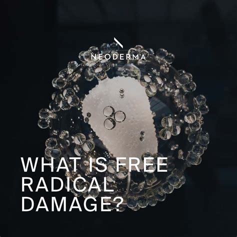 What is Free Radical Damage? – NEODERMA