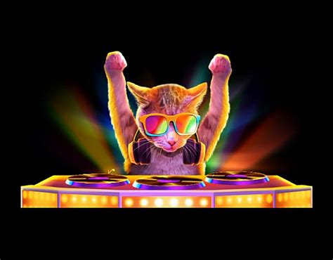 Disco Cat made with Spine :: Behance