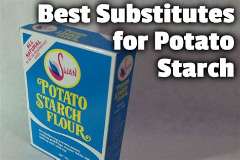 19 Best Substitutes for Potato Starch (and when to use them)