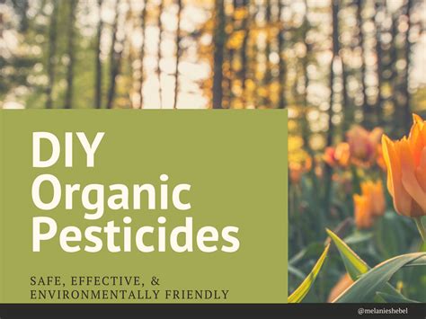 DIY Organic Pesticides for Natural Gardening | Organic pesticide ...