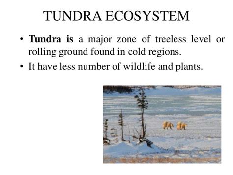 ecosystem diversity