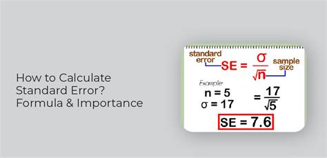 How to Calculate Standard Error? Formula & Importance