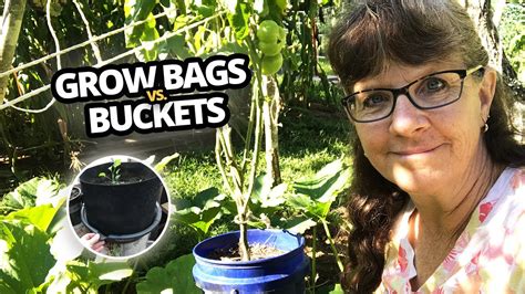 Grow Bags vs Buckets Which is better and why? - YouTube