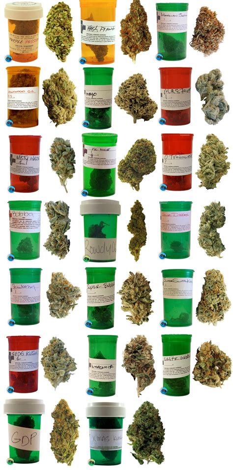 Different Types Of Weed Chart