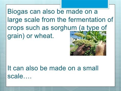 Biogas uses