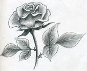 rose drawing Rose pencil art jpg - Cliparting.com