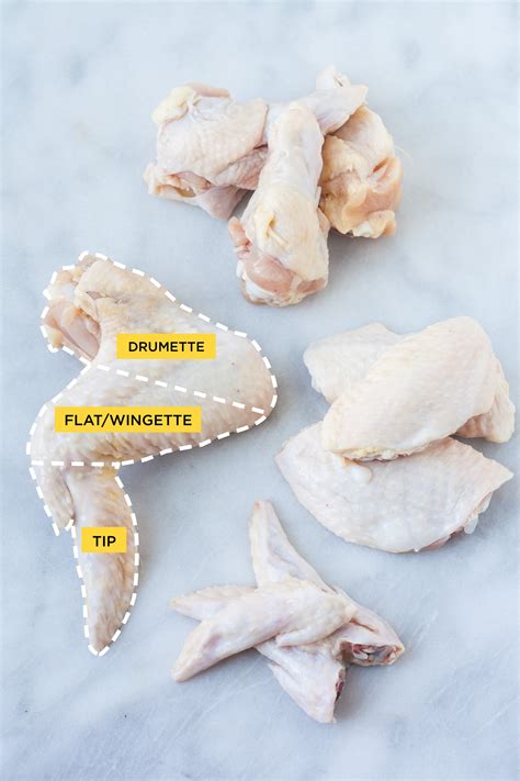 Chicken Wing Muscles Labeled