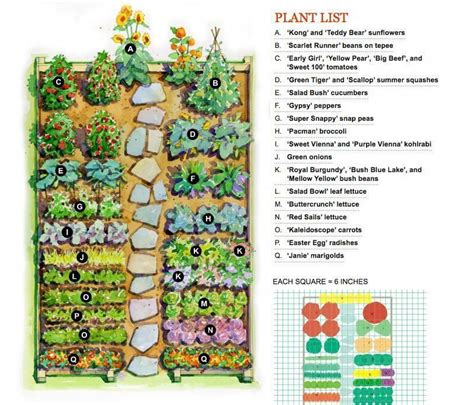 How To Lay Out A Garden Vegetable Garden Layout Gardening Flowers 101 ...