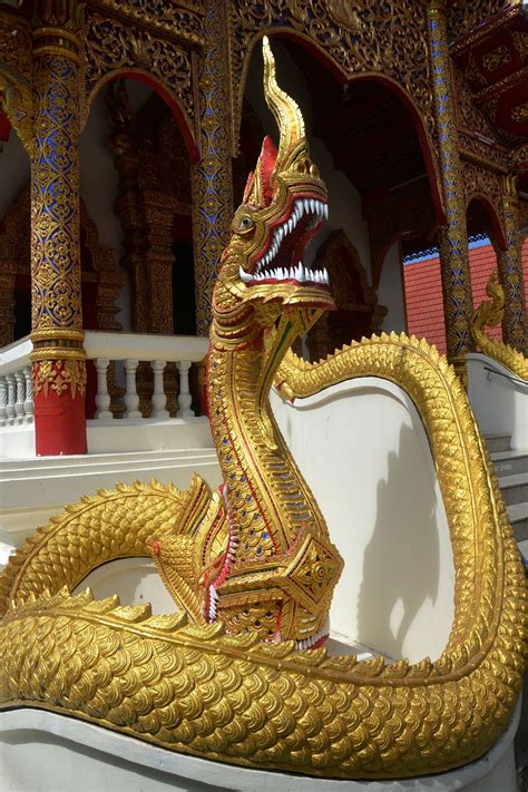 Snake,dragon,temple,worm,animal - free image from needpix.com