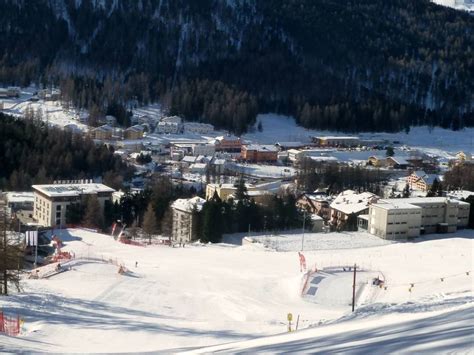 Ski resort Pontresina - Skiing Pontresina