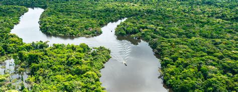 Le Parc National de Manu fait partie de la forêt amazonienne