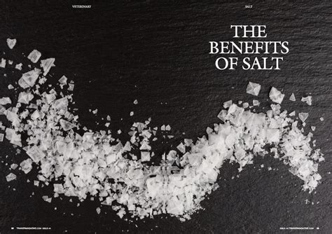 The benefits of Salt | Trainer Magazine | North American Article Index