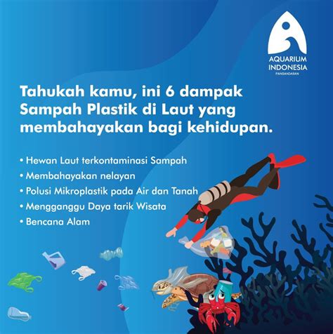 Tahukah kamu, ini 6 dampak Sampah Plastik di Laut yang membahayakan bagi kehidupan! - Aquarium ...