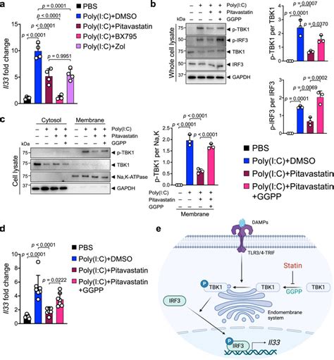 P Irf3 | Cell Signaling Technology Inc | Bioz