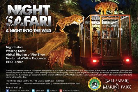 2023 Night Safari At Bali Safari And Marine Park With Private Transfer!