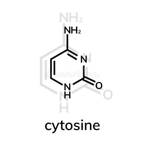 Cytosine chemical formula stock vector. Illustration of biology - 150250698