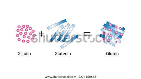 148 Disulfide Bond Images, Stock Photos & Vectors | Shutterstock