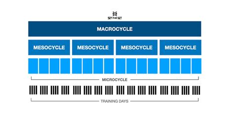 Macrocycle, Mesocycle, and Microcycle in Periodization Training Explained (2023)