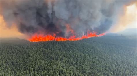 Canadian Wildfires Blamed on Climate Change – But Fire Numbers Are at Historic Lows – The Daily ...