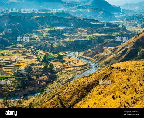 Overview of Colca Canyon and its stepped terraced fields, Peru Stock ...