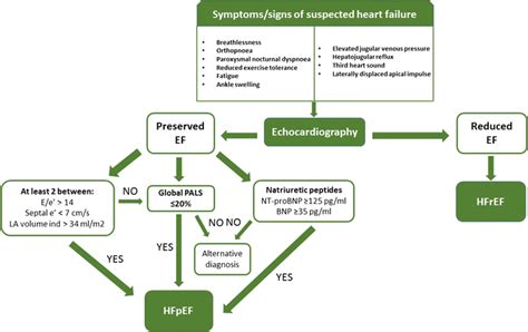 Algorithm for the diagnosis of HFpEF in patients presenting with ...