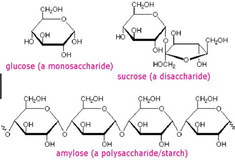 Polysaccharide Vs. Disaccharide Vs. Monosaccharide: (Notes & PDF) - VIVA DIFFERENCES