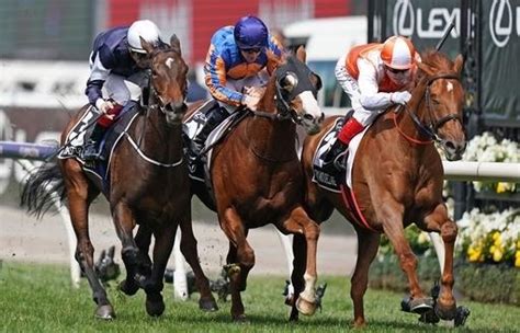 Melbourne Cup Carnival 2024: Latest News & Updates