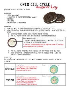 Cell Cycle - Oreo Mitosis Lab by Get Wise With Weissert | TPT