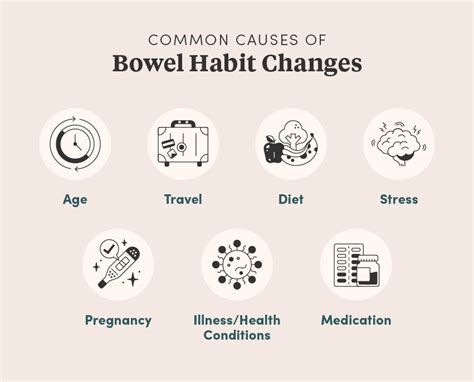 Aging & Digestive Health: How Your Bowel Movements Change as You Age