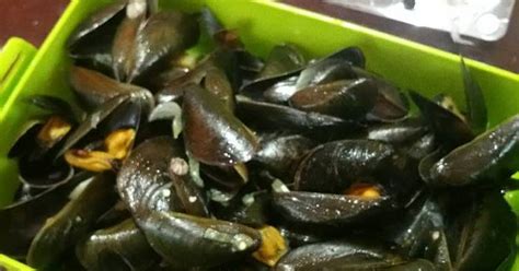 Resep Kerang hijau tumis / kupang tumis oleh Resty Putri - Cookpad