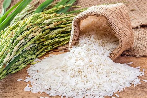 Why is Rice a Staple Food in Asia - blog - Ohmydish