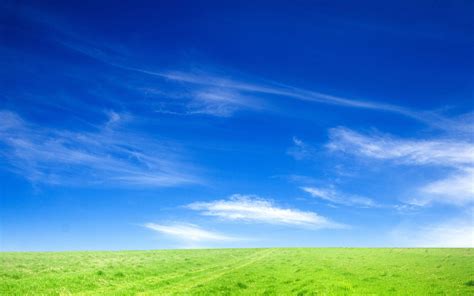 Sky and Grass Wallpapers - Top Free Sky and Grass Backgrounds - WallpaperAccess