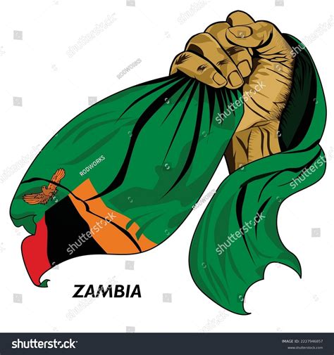 Fisted Hand Holding Zambian Flag Vector Stock Vector (Royalty Free ...