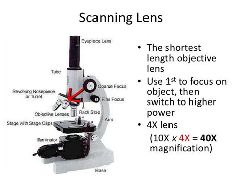 Parts of a microscope