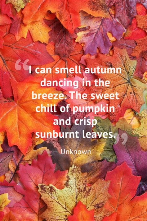 10 Beautiful Fall Quotes - Best Sayings About Autumn