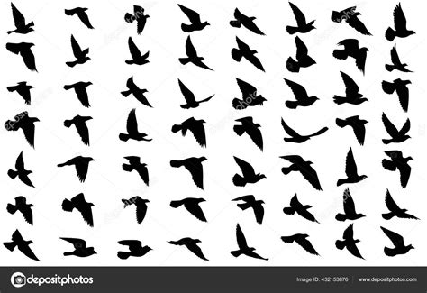 Flying Birds Silhouettes Isolated Background Vector Illustration Isolated Bird Flying Stock ...