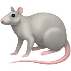 🐀 Rat Emoji