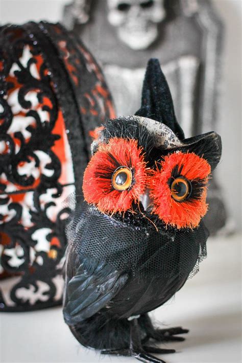 Halloween Black Owl with Witch Hat - Creative Commons Bilder