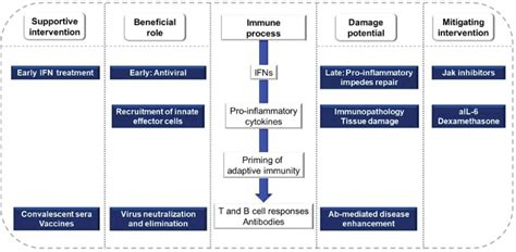 Immunology of COVID-19 | Oncohema Key