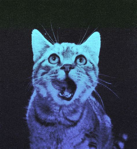 crazy cat neon cat gif | WiffleGif