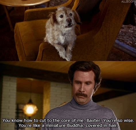 anchorman | Anchorman, Anchorman quotes, Funny movies