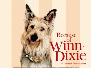 Because Of Winn Dixie Quotes. QuotesGram