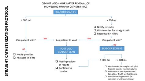 STRAIGHT CATHETERIZATION PROTOCOL - ppt download