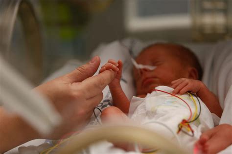 La Unidad de Cuidados Intensivos de neonatos del HUCA trata los casos más comprometidos de bebés ...